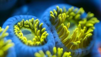 image: Queer par nature