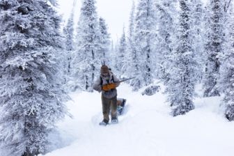 image: Seuls face à l'Alaska