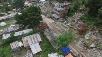 image: Survivre aux catastrophes : les stratégies de la nature