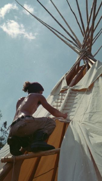 image: Terre sauvage
