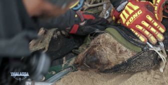 image: Thalassa, aventures extrêmes