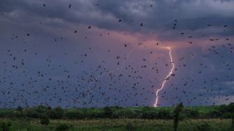 image: Une planète parfaite