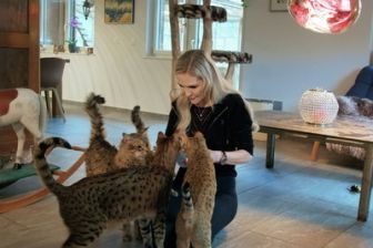 image: Wildtiere fürs Wohnzimmer - Von Qualzucht und illegalem Handel