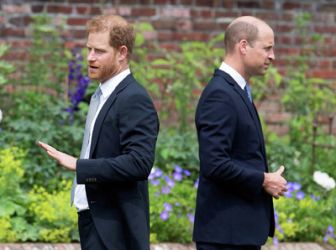 image: William et Harry : de l'amour à la haine