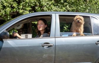 image: Zu jung zu sterben. Ein Krimi aus Passau