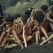 Aux origines, l'esclavage