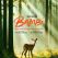 Bambi, l'histoire d'une vie dans les bois