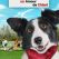 Cooper un amour de chien