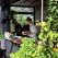 Greenhouse, la maison autonome selon Joost