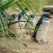 A la rencontre des manchots d'Australie