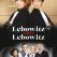 Lebowitz contre Lebowitz
