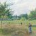 Pissaro, sur les traces du père des impressionnistes