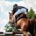 Royal Windsor Horse Show