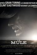 image: La mule