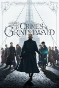 image: Les animaux fantastiques : Les crimes de Grindelwald